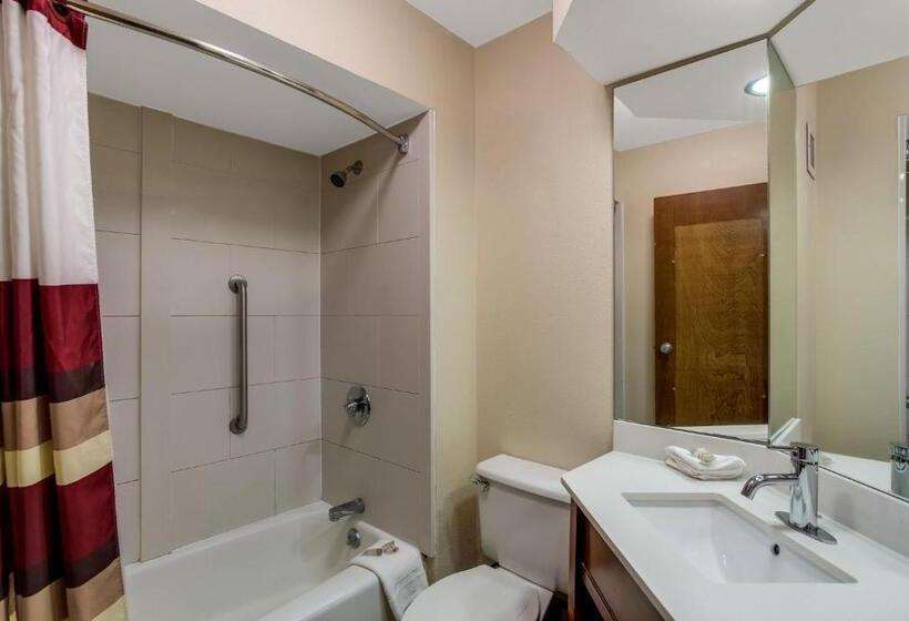 Номер Deluxe, Red Roof Inn Nashville  Music City