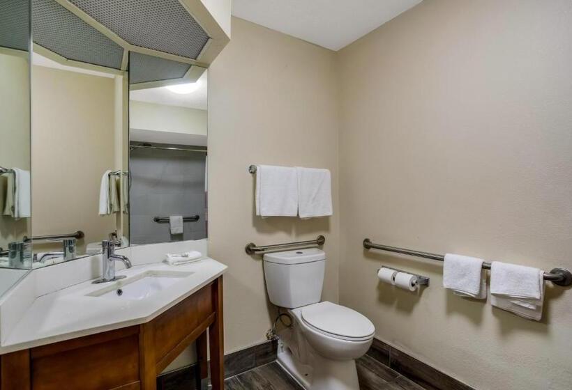 Номер Deluxe Адаптированный для Инвалидов, Red Roof Inn Nashville  Music City