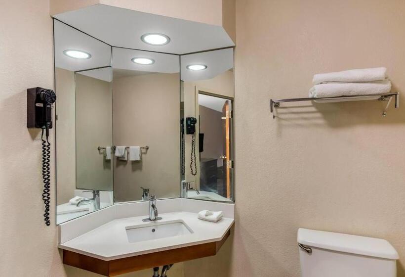Номер Deluxe Адаптированный для Инвалидов, Red Roof Inn Nashville  Music City