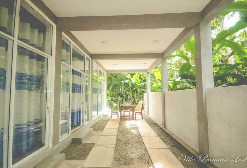 Standard Room, Villa Banana Leaf