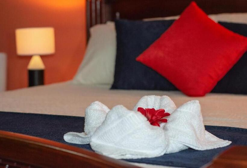 스탠다드 룸, Nafre House B&b Monteverde