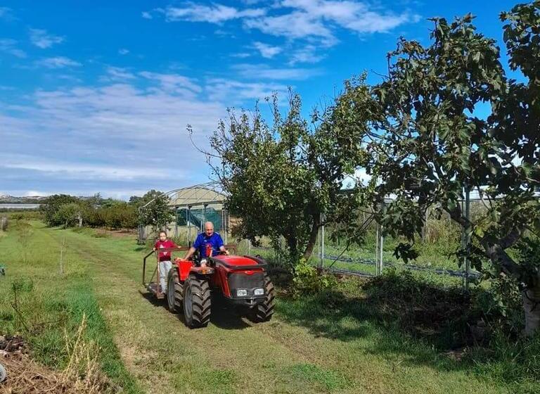 Студия Стандарт, Agriturismo Il Cipresso