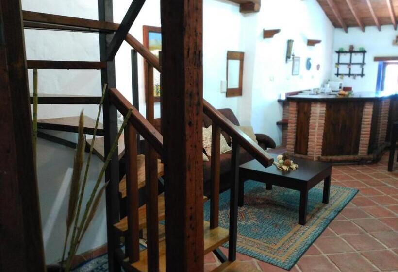 Номер Стандарт, Room El Pilarillo