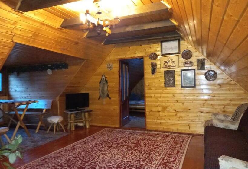 Четырехместный Номер Стандарт, Casa De Vacanta Vidrighin