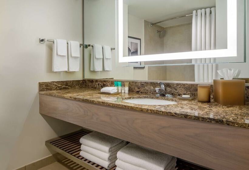 带2个双人床的标准工作室, Hyatt Regency Jacksonville Riverfront
