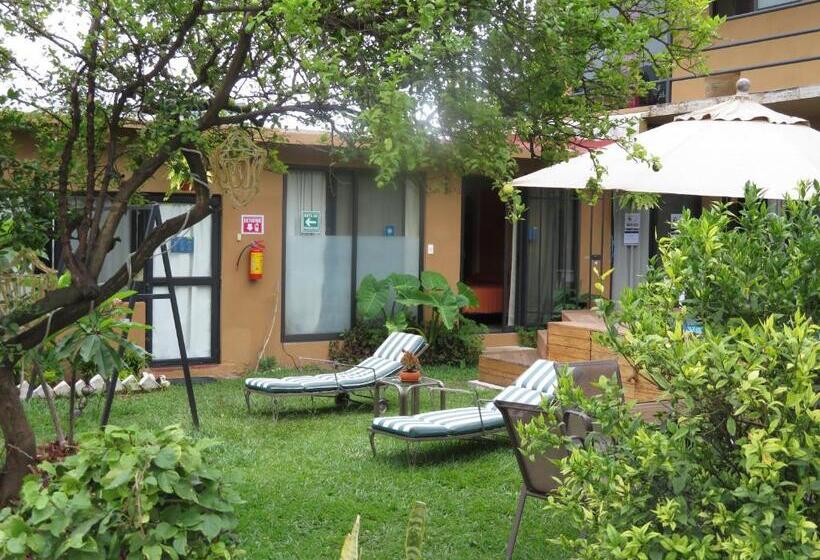 标准间, Posada Casa Topiltzin