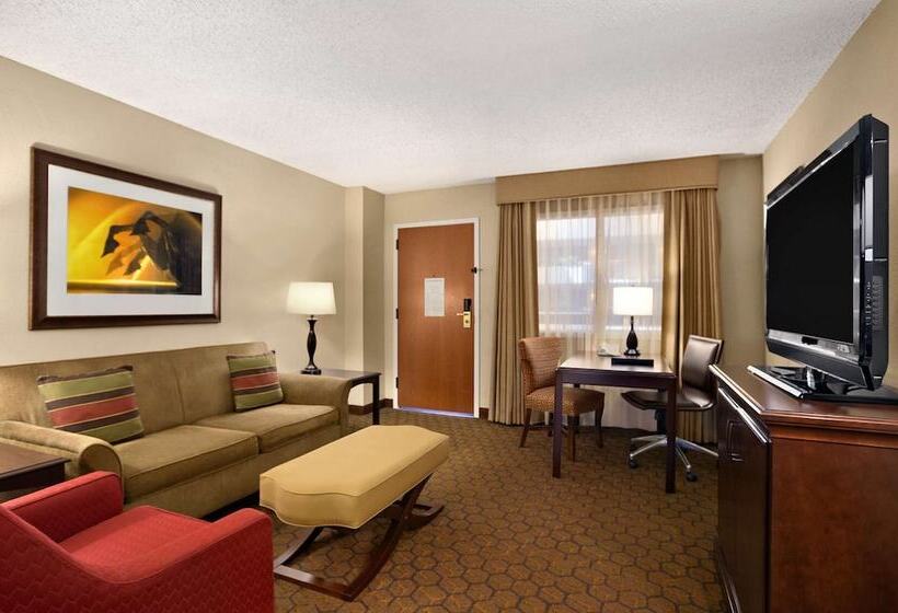 Люкс Premium 2 Спальни, Embassy Suites By Hilton Austin Arboretum