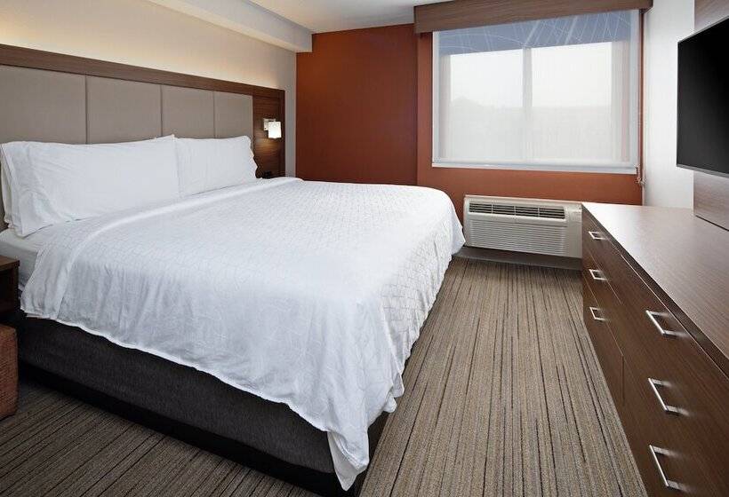 Standart Oda, Holiday Inn Express Seattle   Sea Tac Airport, An Ihg