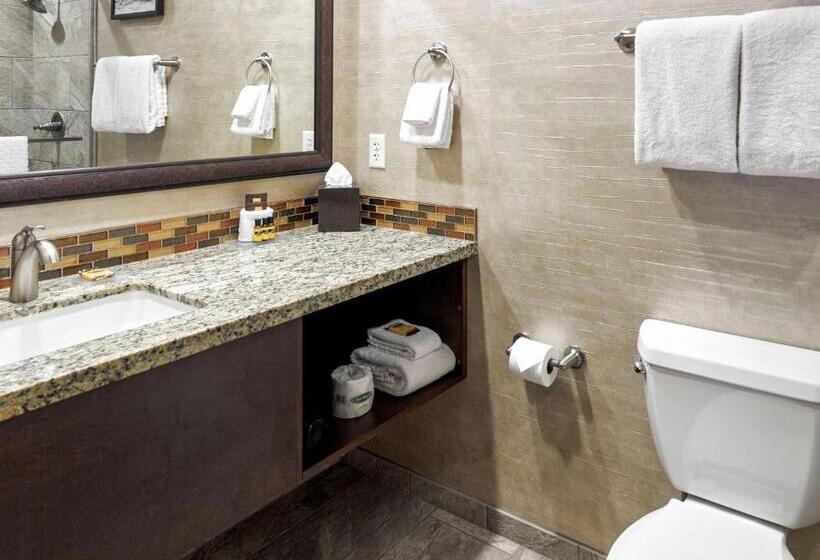 Номер Basic, Squire Resort At The Grand Canyon, Bw Signature Collection