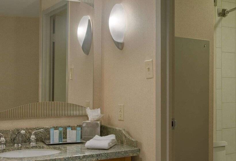 חדר סטנדרט שתי מיטות זוגיות, Hilton Memphis