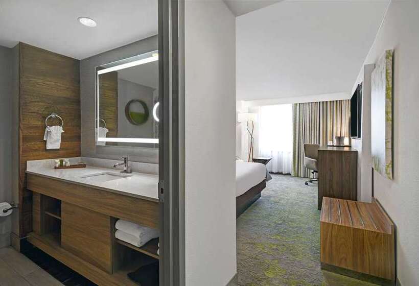 חדר סטנדרט עם מיטת קינג, Hilton Memphis