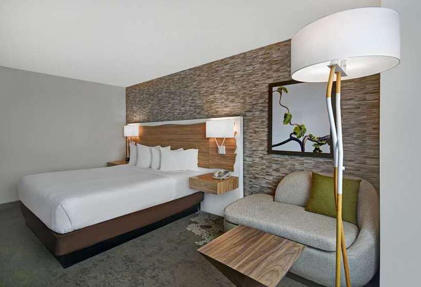 חדר סטנדרט עם מיטת קינג, Hilton Memphis