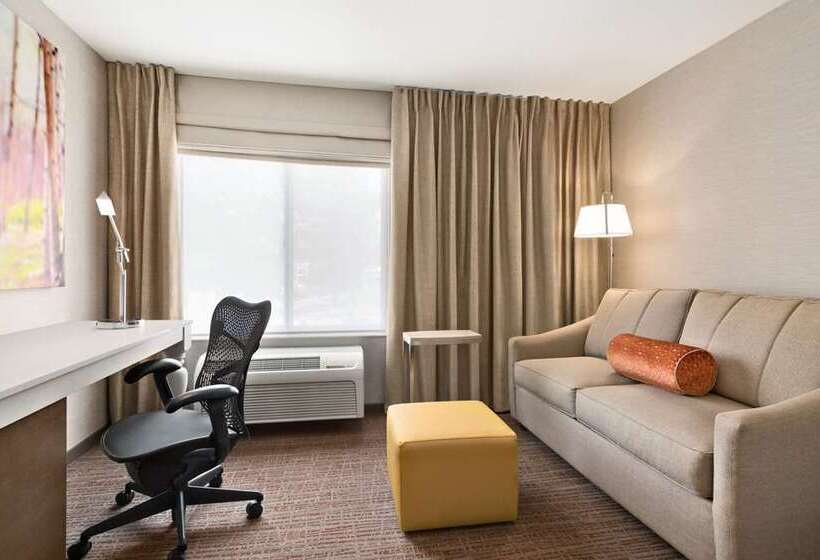 חדר סטנדרט עם מיטת קינג, Hilton Memphis