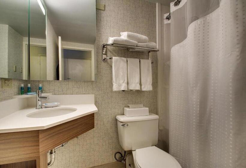 Quarto Estandar Cama King, Holiday Inn Express Poughkeepsie, An Ihg