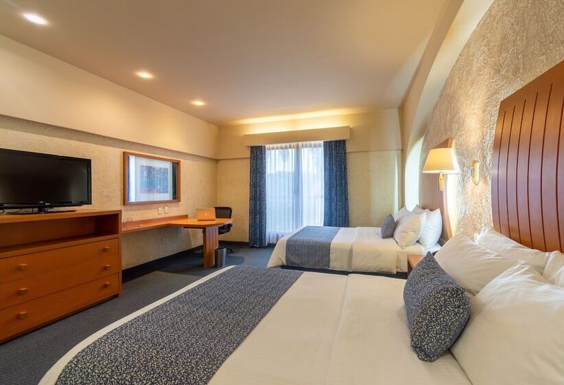 Номер Executive, Flamingo Inn