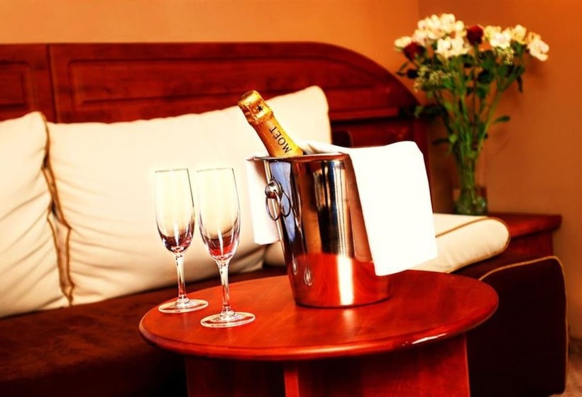 Quarto Estandar Individual, U Divadla   Czech Leading Hotels