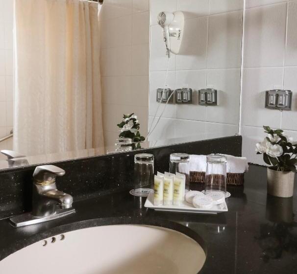 اتاق استاندارد چهار تخته, Miramar