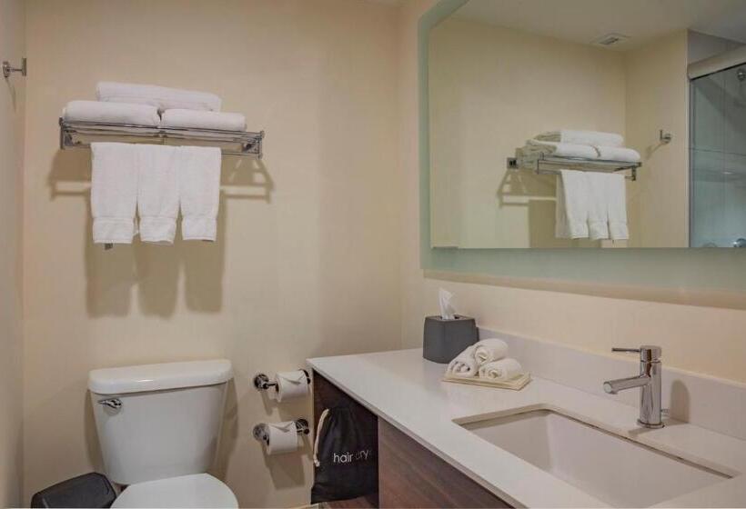 スタンダードルーム, Holiday Inn Tlaxcala, An Ihg
