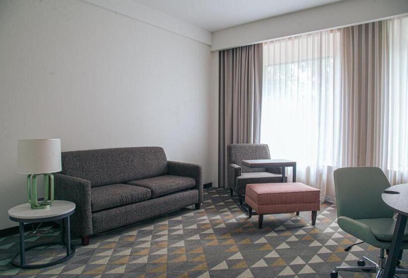 スイート, Holiday Inn Tlaxcala, An Ihg