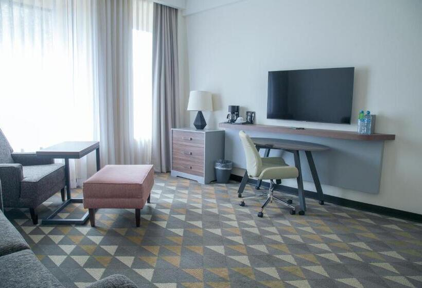 スイート, Holiday Inn Tlaxcala, An Ihg