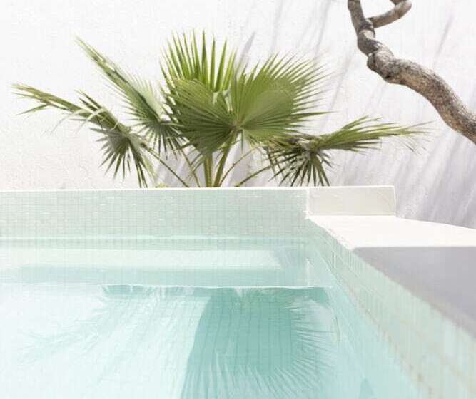 시니어 스위트, Cavo Bianco Boutique Hotel & Spa