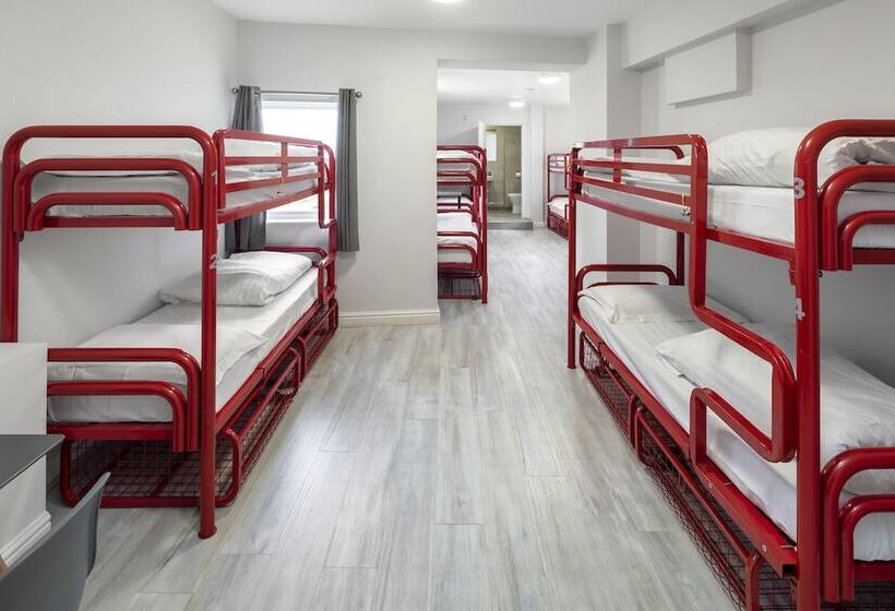 تختخواب در اتاق مشترک, Astor York Hostel