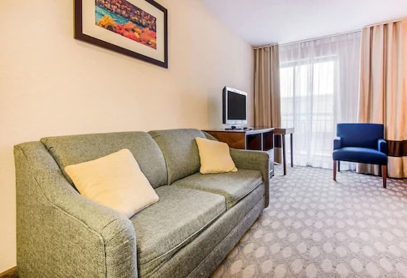 חדר סטנדרט נוף לנהר, Comfort Inn Fallsview
