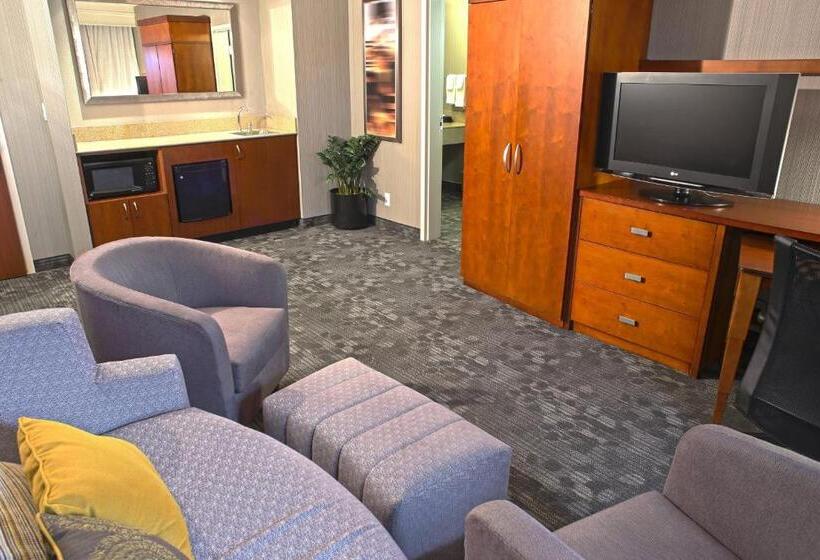سوئیت با تخت بزرگ, Courtyard By Marriott Hamilton