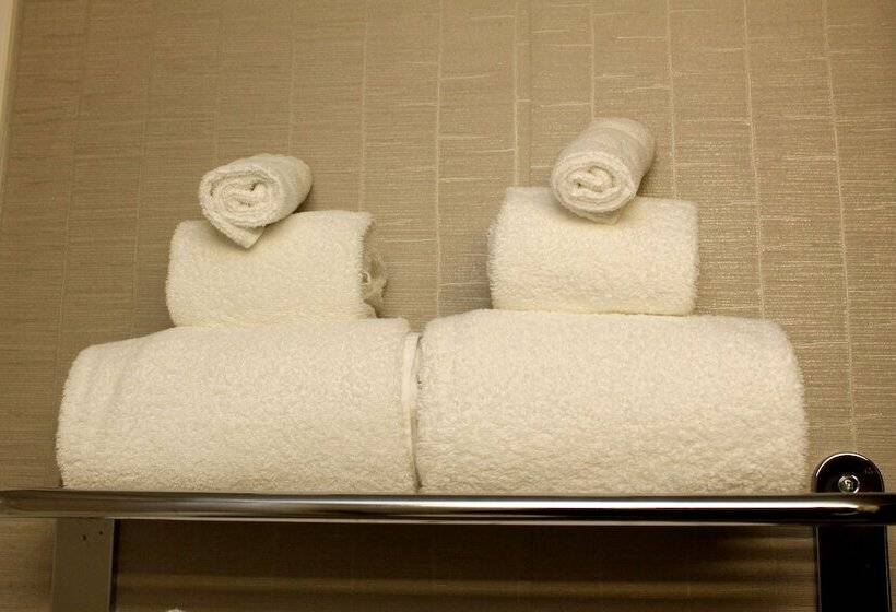 Номер Стандарт, Holiday Inn Express Hotel & Suites Sherwood Park Edmonton Area, An Ihg