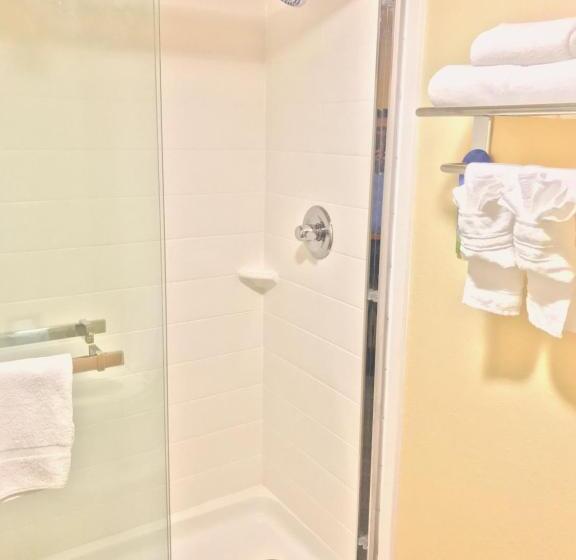 キングサイズベッドのスタンダードルーム, Days Inn By Wyndham San Antonio Airport