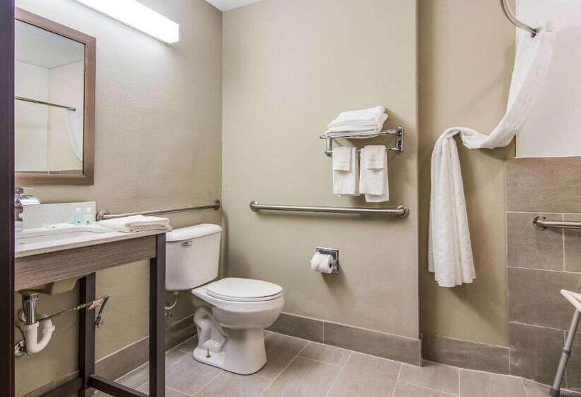 Номер Стандарт Адаптированный для Инвалидов, Quality Inn & Suites Grove Cityoutlet Mall