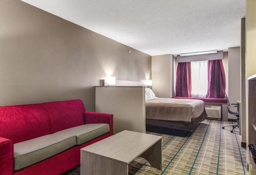 Люкс Кровать Кинг, Quality Inn & Suites Grove Cityoutlet Mall