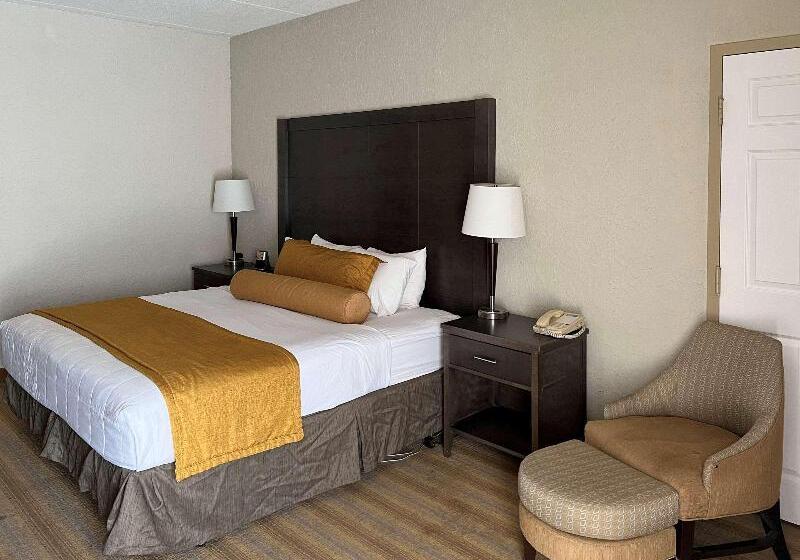 Стандартный Номер Кровать Кинг, Americinn By Wyndham Rochester Near Mayo Clinic