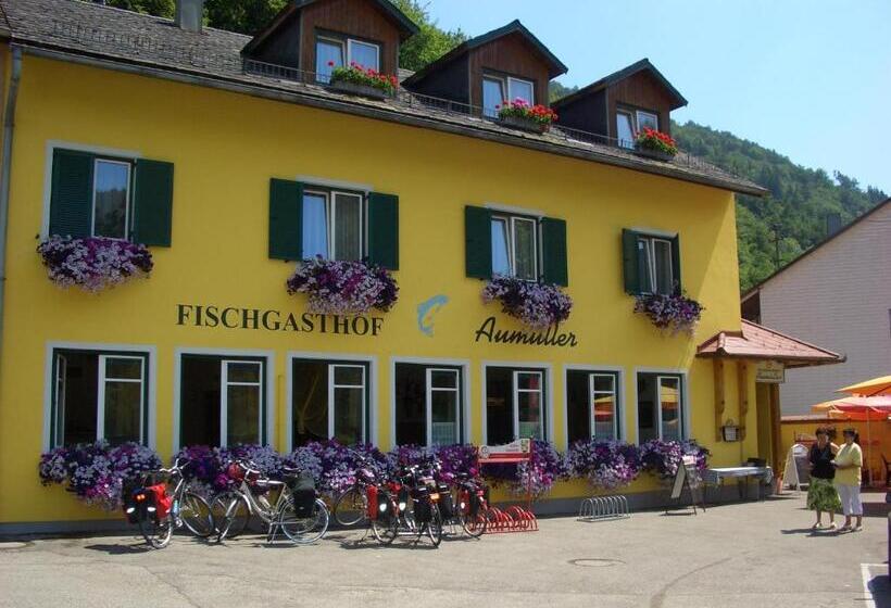 스탠다드 룸, Fischgasthof Aumüller