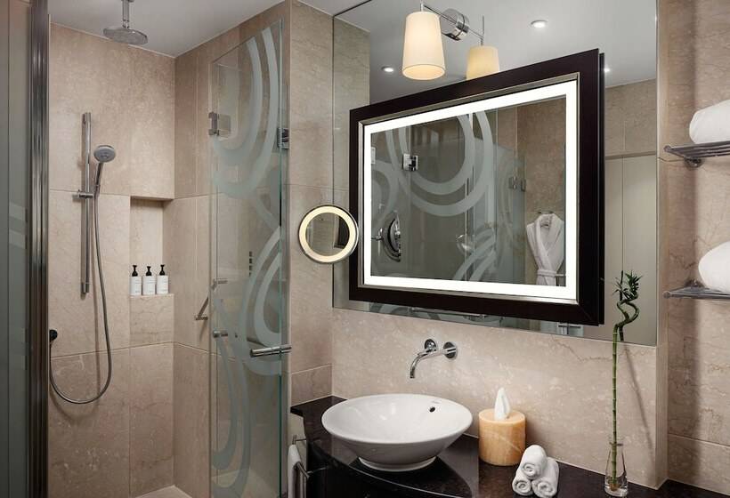 اتاق استاندارد با تخت بزرگ, Grand Hotel River Park, A Luxury Collection Hotel, Bratislava