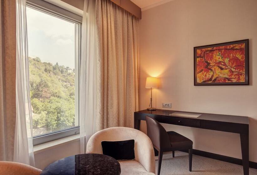 اتاق اجرایی با تخت بزرگ, Grand Hotel River Park, A Luxury Collection Hotel, Bratislava