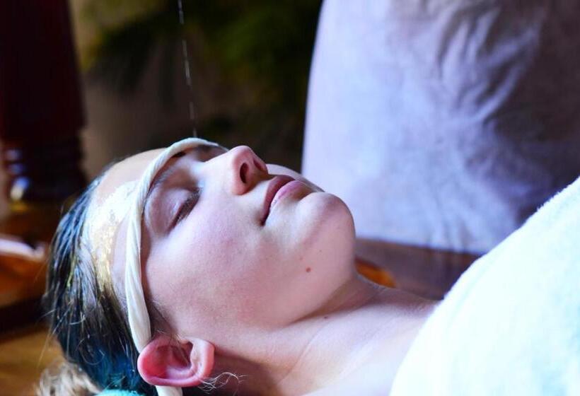 Королевский Полулюкс, Ayursoma Ayurveda Royal Retreat