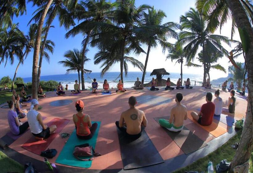 Королевский Полулюкс, Ayursoma Ayurveda Royal Retreat