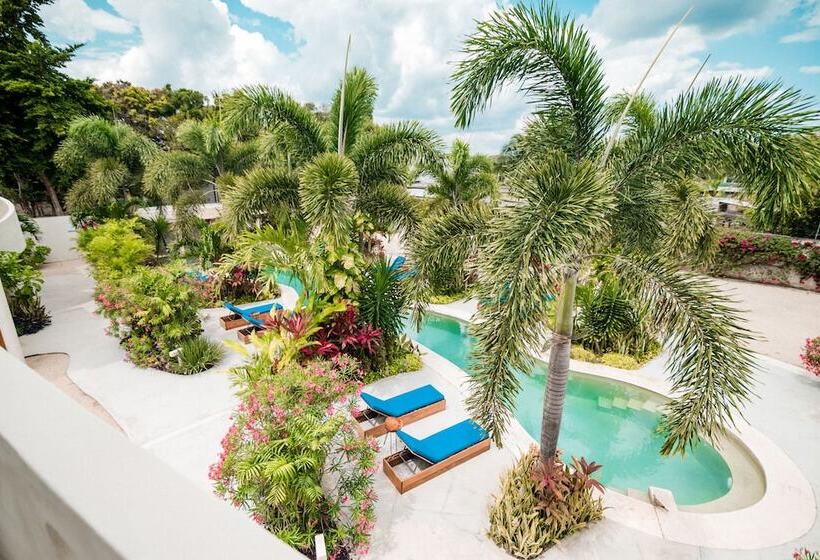 Standard-huone Parivuode, Blue Palm Bacalar