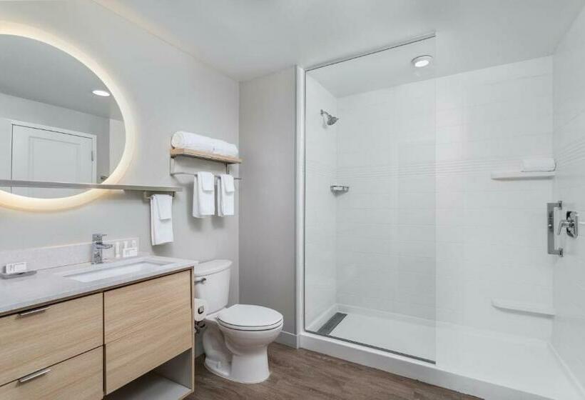 استودیوی استاندارد, Towneplace Suites By Marriott Orlando Southwest Near Universal
