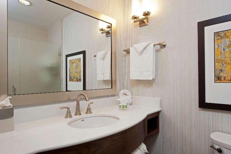 Deluxe Suite, Hilton Garden Inn Indianapolis Downtown