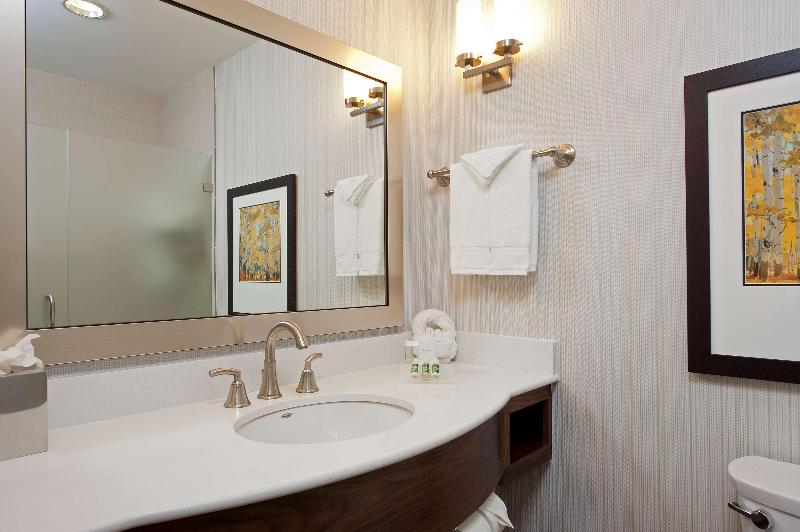 Standaardkamer met Kingsize Bed, Hilton Garden Inn Indianapolis Downtown
