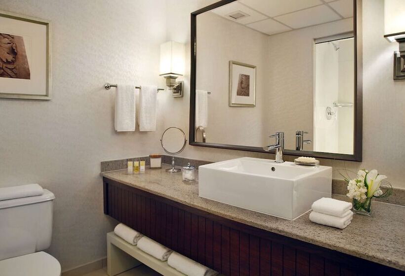 스탠다드 룸 더블 침대 2개, Hyatt Regency Saint Louis At The Arch