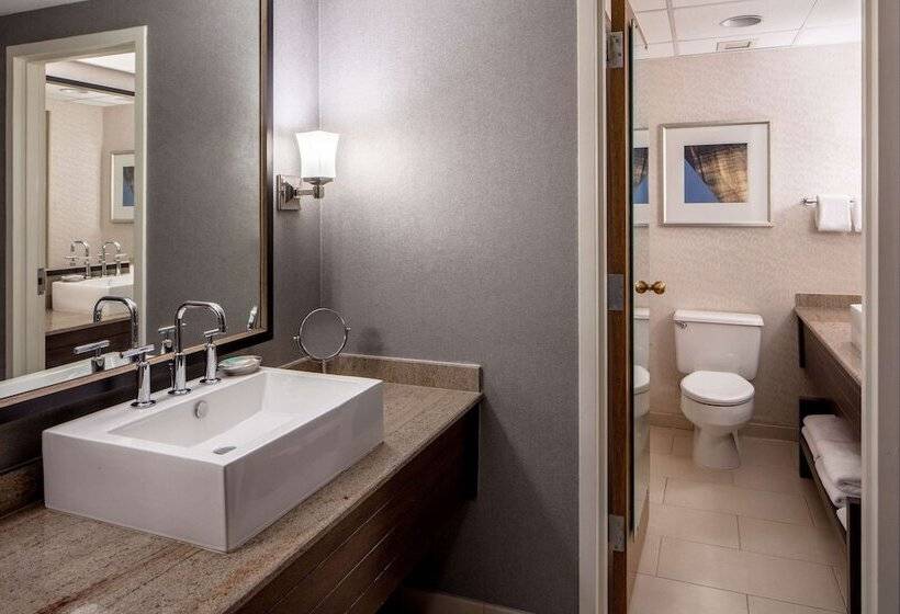 이그제큐티브 스위트, Hyatt Regency Saint Louis At The Arch