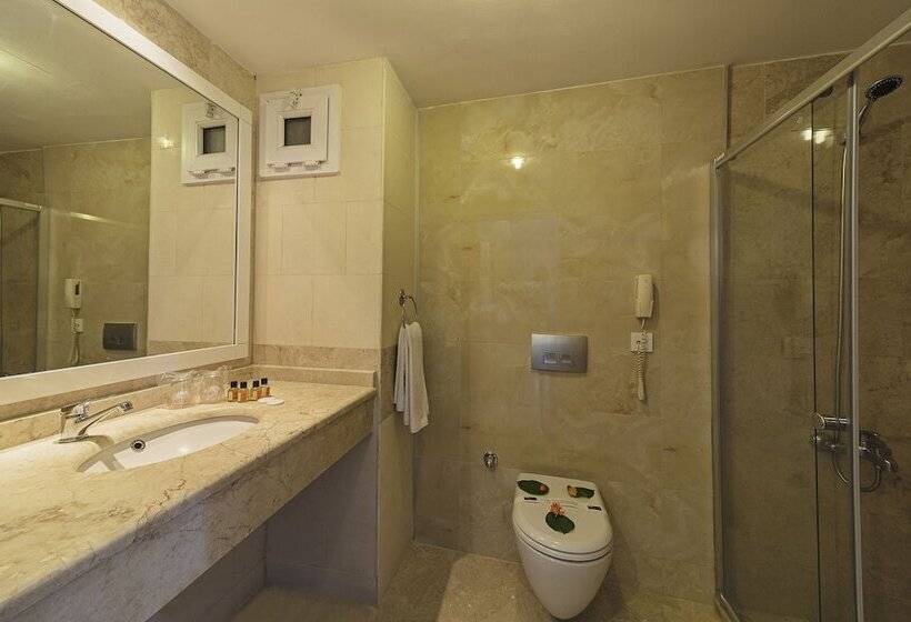 Номер Superior Одноместный, Riva Bodrum Resort Adult Only +16