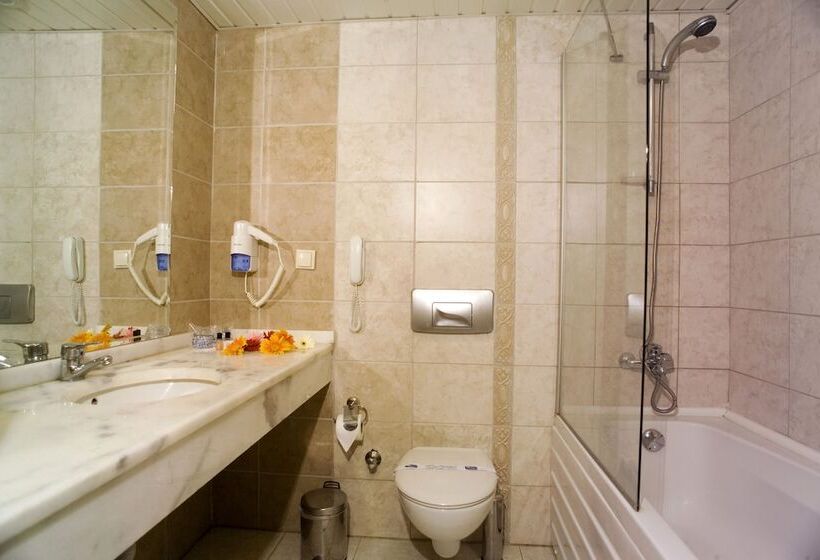 اتاق استاندارد, Telatiye Resort Hotel   All Inclusive