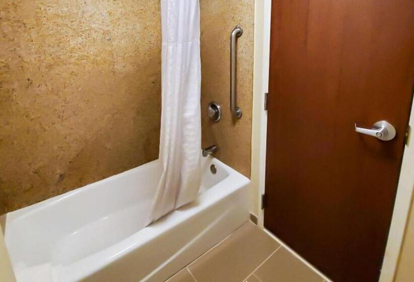 스탠다드 룸 킹사이즈 침대, Comfort Inn