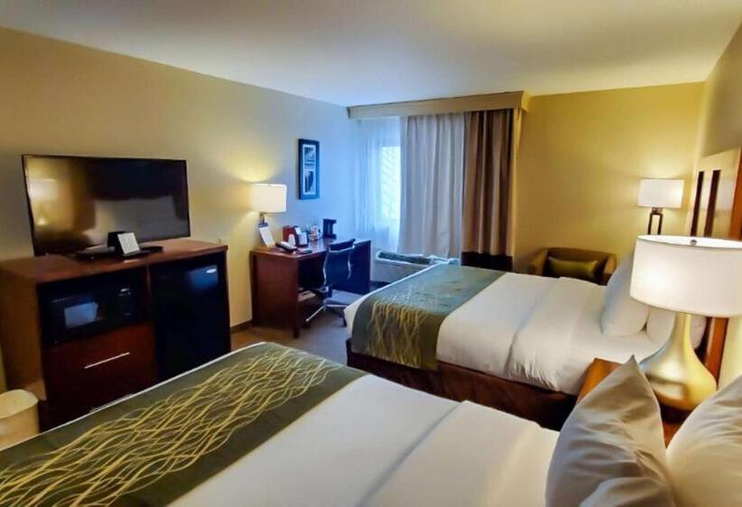 스탠다드 룸, Comfort Inn