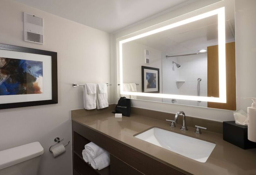سوییت, Embassy Suites By Hilton Dallas Dfw Airport South