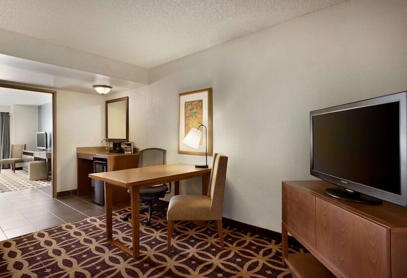 سوییت, Embassy Suites By Hilton Dallas Dfw Airport South